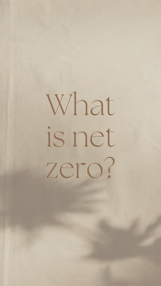 What is Net Zero?!