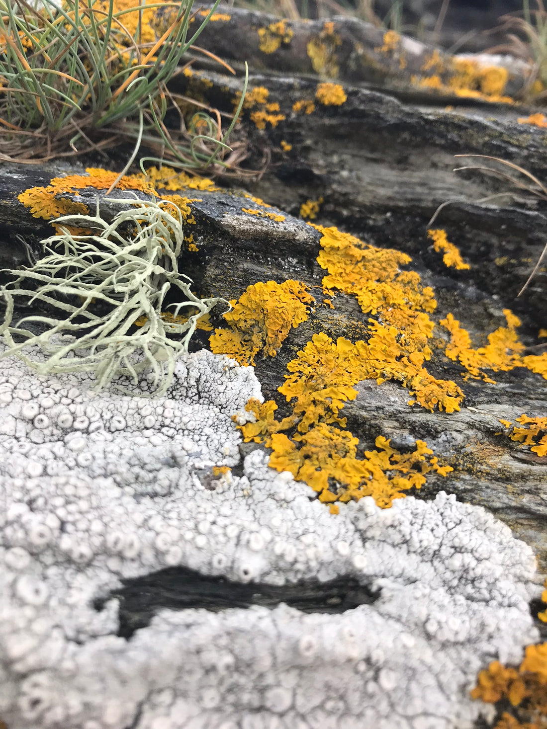 Travels inspire colours